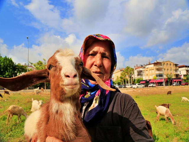 Antalya'nın modern çobanları
