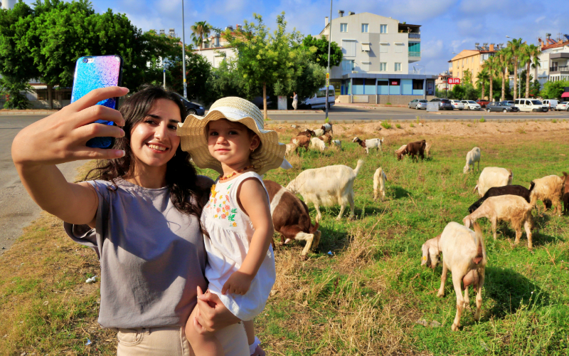 Antalya'nın modern çobanları