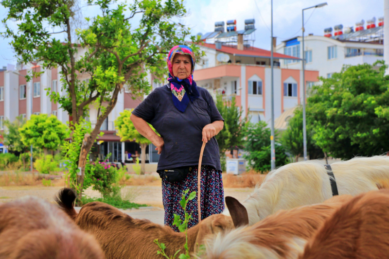 Antalya'nın modern çobanları