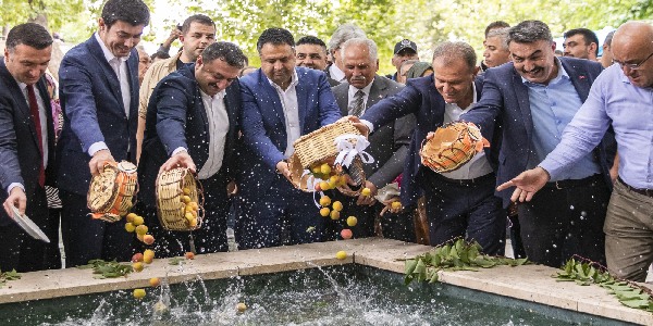 Mut’ta Kayısı Festivali heyecanı