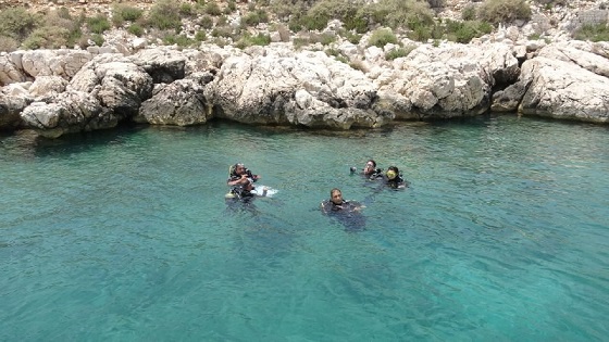 Boğsak Adası Çevresinde Zengin Biyoçeşitliliği