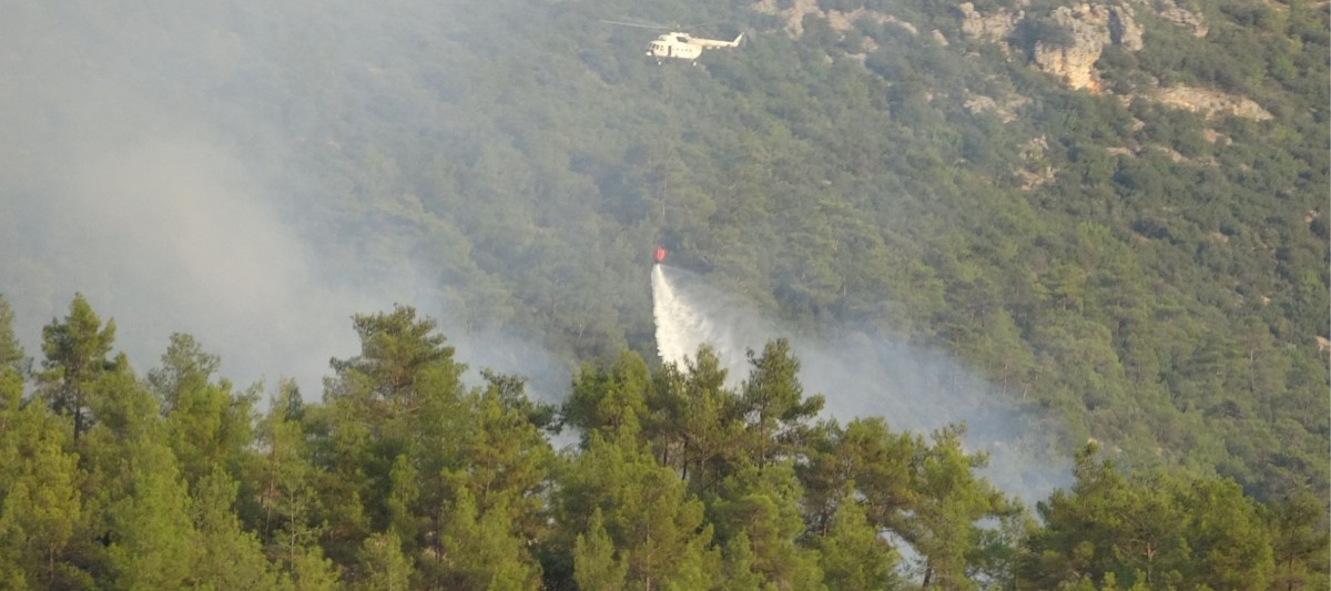 DÜNYACA ÜNLÜ VADİDE ÇIKAN ORMAN YANGINI SÖNDÜRÜLDÜ  