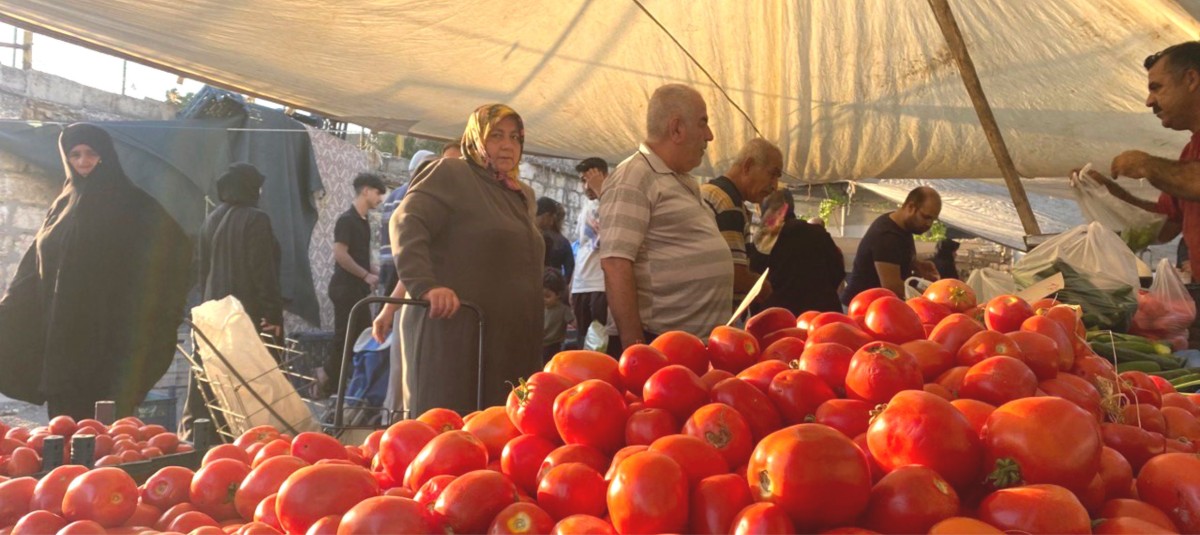 SALÇALIK DOMATES VE BİBERLER TEZGAHLARDA  