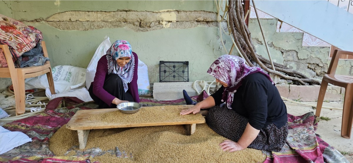 BUĞDAYIN, BULGUR OLMA YOLCULUĞU BAŞLADI