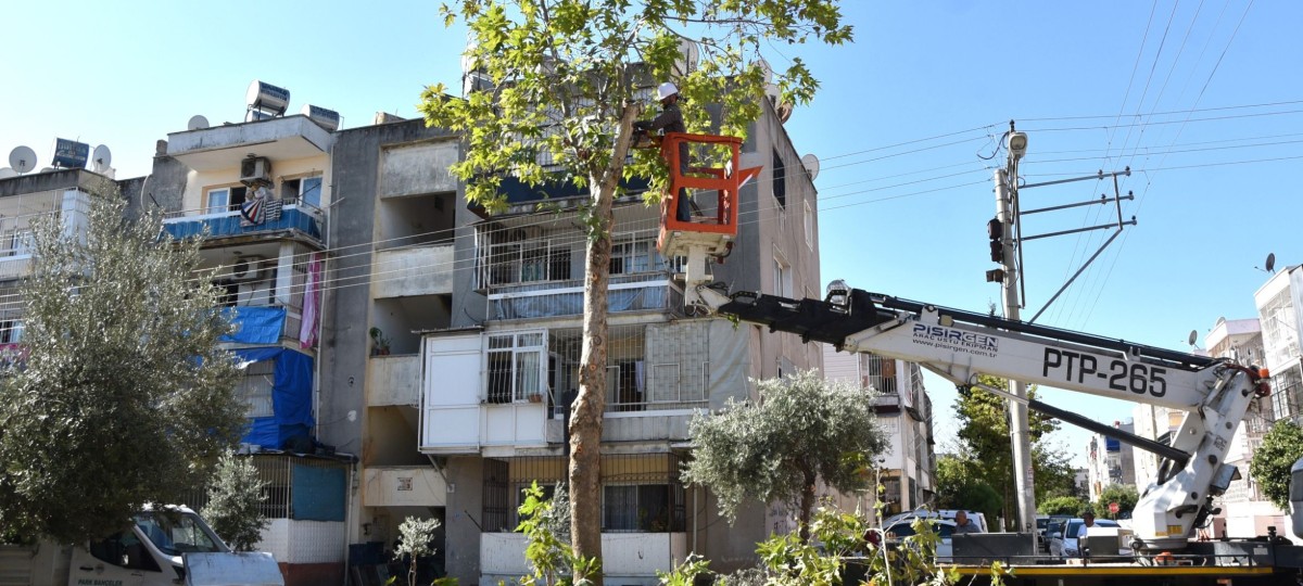 TOROSLAR BELEDİYESİNDEN, AĞAÇLARA KIŞ BAKIMI