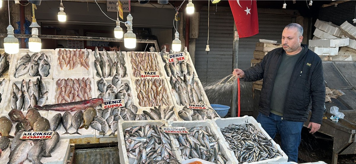 SARDALYA VE HAMSİ BALIKÇILARIN YÜZÜNÜ GÜLDÜRÜYOR