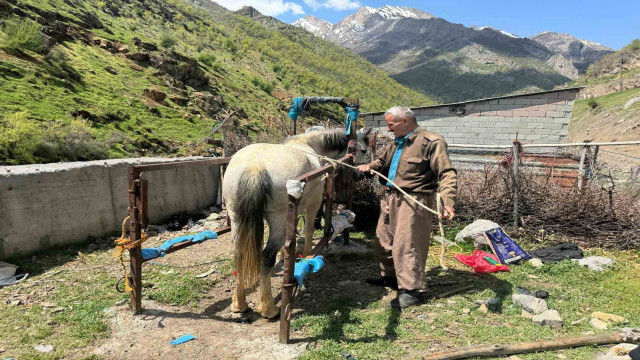 20 yıldır nalbantlık yapan usta, at ve katırların ayak bakımlarını yapıyor