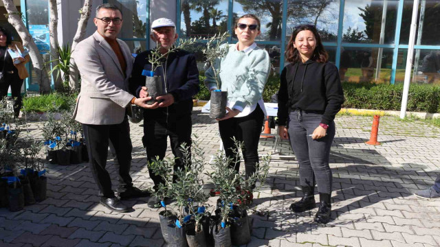 Antalya Büyükşehir Belediyesi’nden Serikli çiftçilere 700 zeytin fidanı