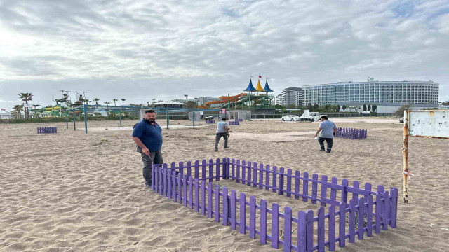 Antalya’da Kum Zambaklarına çitli koruma