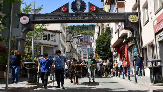 Artvin’de turizm haftası boğalı kortej yürüyüşüyle başladı