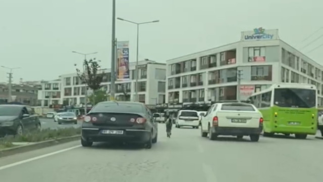 Başıboş tay trafiği karıştırdı