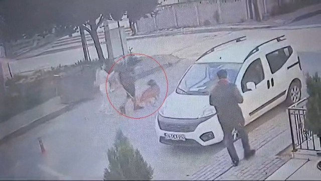 Bekçi ile boksör arasında ’ağızlıksız pitbull’ kavgası