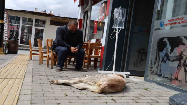 Dana Umut’un sahibinin merhameti görenlerin içini ısıttı