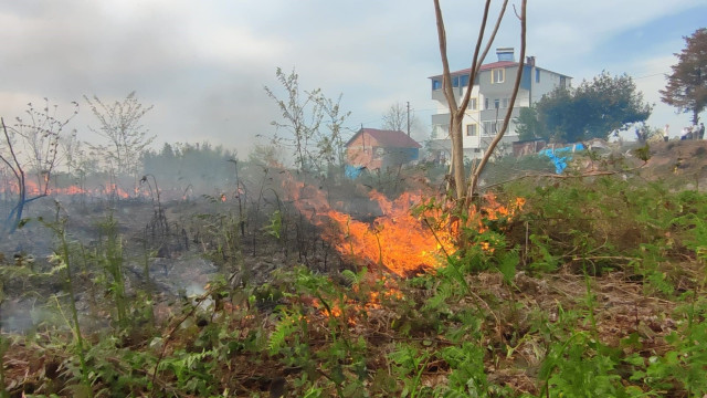 Giresun’da örtü yangını korkuttu