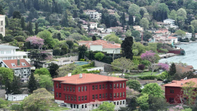 İstanbul’u erguvan ağaçları süsledi