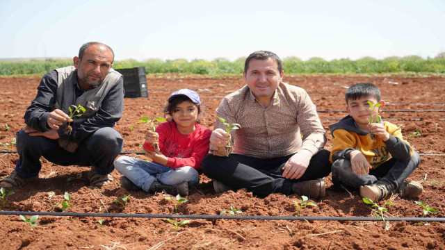 Kilis’te biber fideleri çocukların elleriyle toprakla buluştu