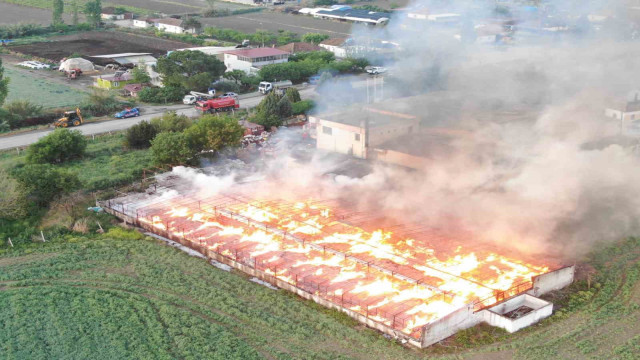 Manisa’da 160 ton kozalak kül oldu