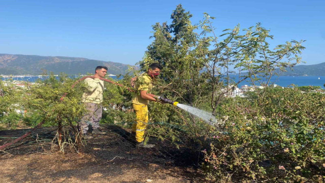 Otluk alandaki yangın ormana sıçramadan söndürüldü