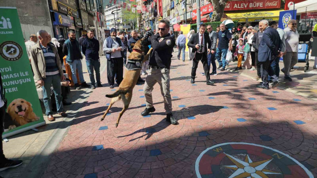 Polis haftasında narkotik köpeği vatandaşın ilgi odağı oldu