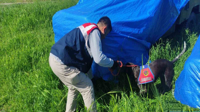 Şanlıurfa’da silah kaçakçılarına operasyon: 3 gözaltı