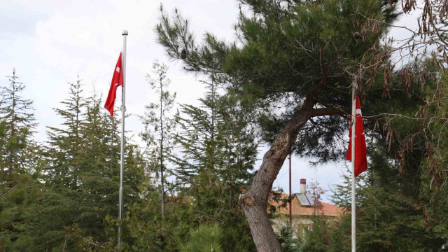 Şehit mezarlarında ’Türk bayrağı yok’ iddiası yalan çıktı