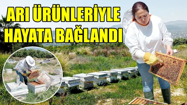 ŞİFAYI ARILARDA BULDU ARICILIĞA BAŞLADI