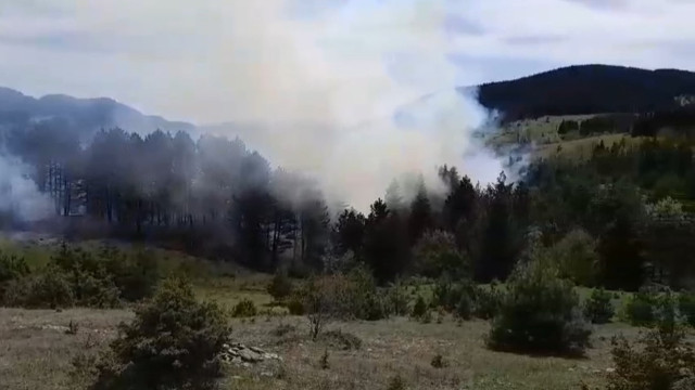 Sinop’ta korkutan orman yangını