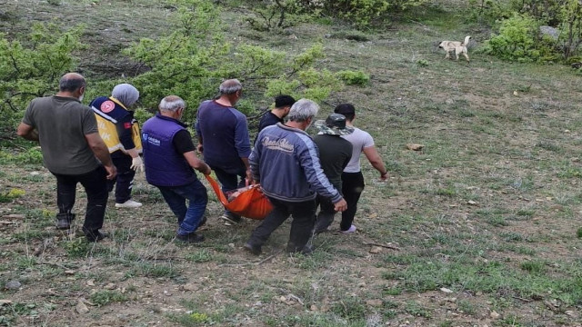 Tunceli’de ayının saldırısına uğrayan adam yaralandı