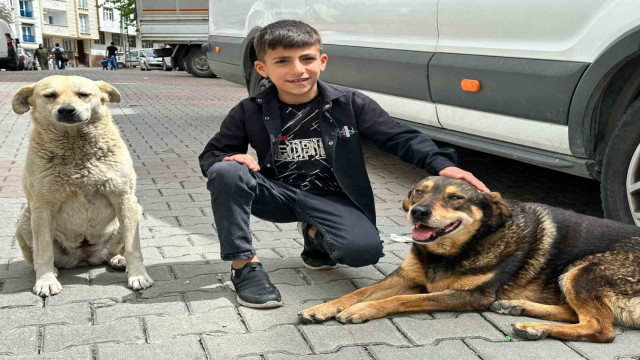 Yağmurda köpeği ıslamaktan koruyan Ayaz o anları anlattı