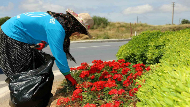 Alanya’da 571 bin 250 adet mevsimlik çiçek toprakla buluştu