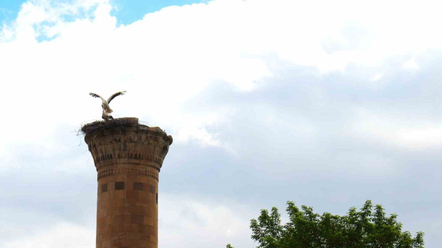 Depremde yarısı yıkılan minareye leylek yuva yaptı