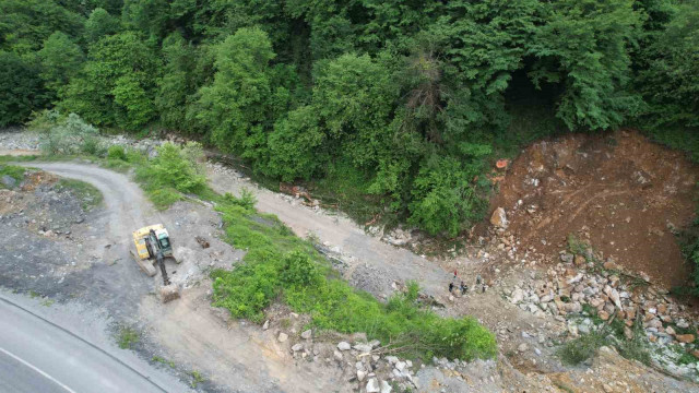 Dere ıslahı çalışmasında bin 183 yaşındaki porsuk ağacını kökünden kestiler