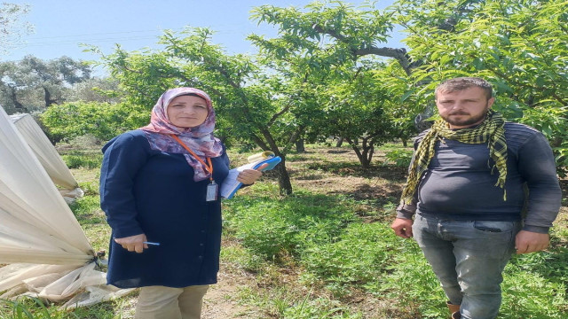 Efeler İlçe ve Tarım Orman Müdürlüğü anket çalışmalarını tamamladı