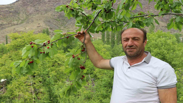 Erzurum’un dağlarında kar, bağlarında kiraz var