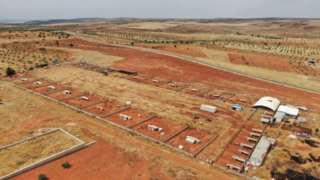 Gaziantep’te kurulan barınak Türkiye’ye örnek oldu