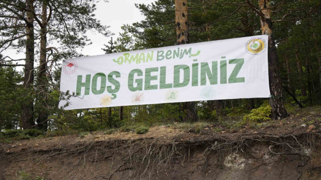 Gümüşhane’de ‘Orman Benim’ etkinliğinde ormanda temizlik