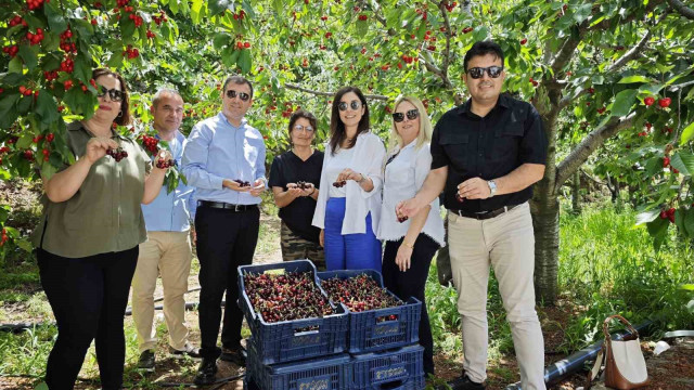 Kaymakam Altun, kırsaldaki çalışmaları inceledi