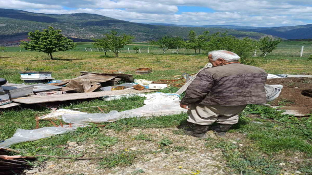 Köye inen ayı arı kovanlarını parçaladı