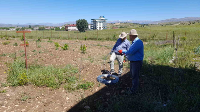 Kulp ilçesinde, örtü altı üzüm yetiştirilecek