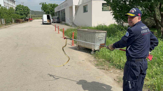 Polis arabasına giren yılanı itfaiye ekibi çıkardı