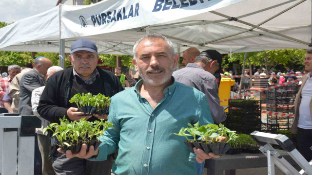 Pursaklar’da 100 bin meyve fidesi dağıtıldı