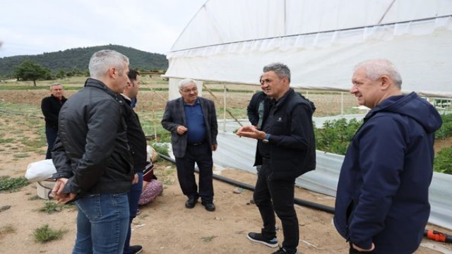 Sera alanlarında kontrol ve denetim çalışmaları devam ediyor