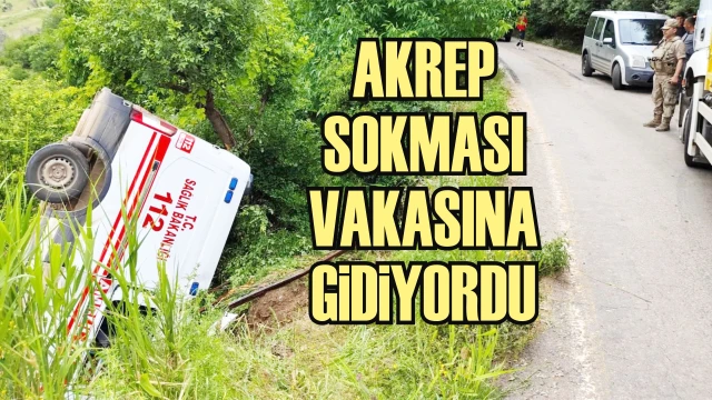 SİİRT’TE AMBULANS KAZA YAPTI