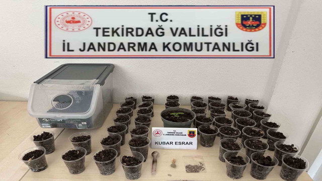 Tekirdağ’da uyuşturucu, silah ve tütün operasyonu