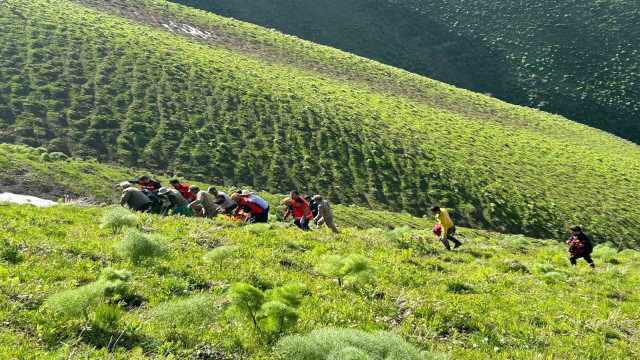 Van’da ot toplarken kayalıklardan düşen şahıs kurtarıldı