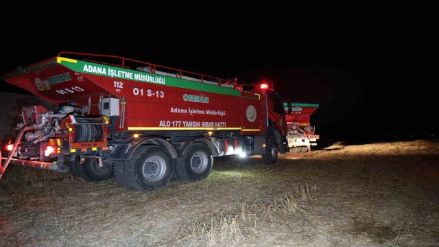 Adana’da anız yangını ormana sıçradı, yangın kontrol altına alındı