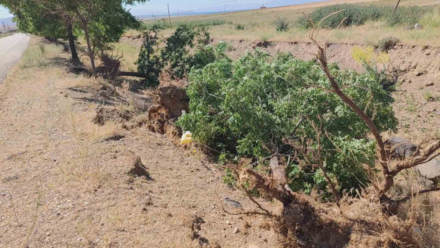 Adilcevaz’da toz fırtınası hayatı felç etti