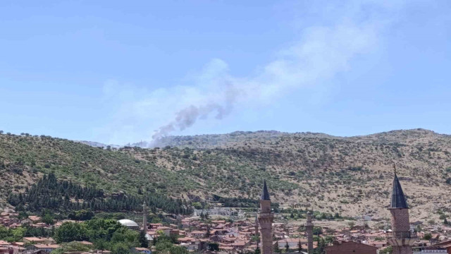 Afyonkarahisar’da ormanlık alanda yangın