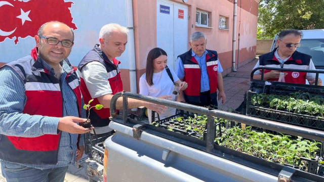 Altıntaş’ta ilkokul öğrencilerine sebze fidesi dağıtıldı