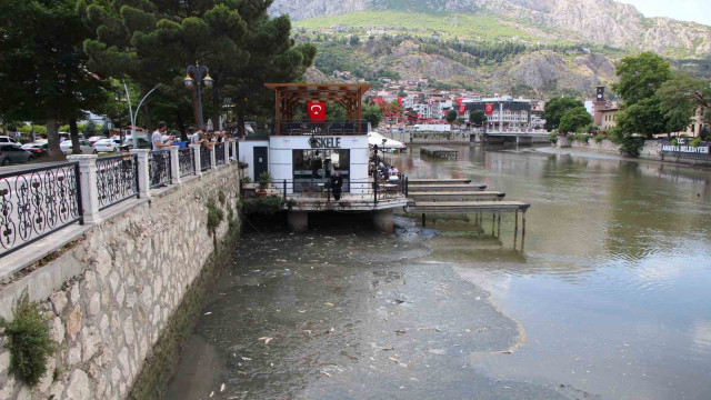 Amasya’da Yeşilırmak Nehri’nde balık ölümleri: Balık tutanlar ‘zehirli olabilir’ diye uyarıldı